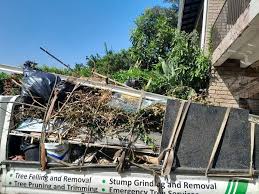 Best Residential Junk Removal  in Asbury, IA